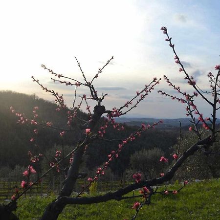 San Donato in Poggio Agriturismo San Silvestro מראה חיצוני תמונה