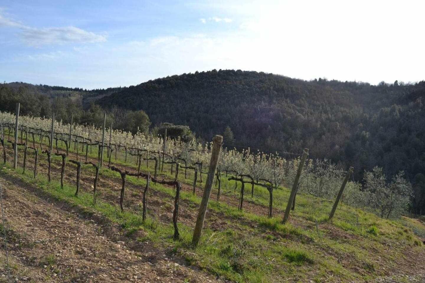 San Donato in Poggio Agriturismo San Silvestro מראה חיצוני תמונה